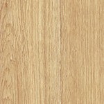 BW-91064 Relief Oak
